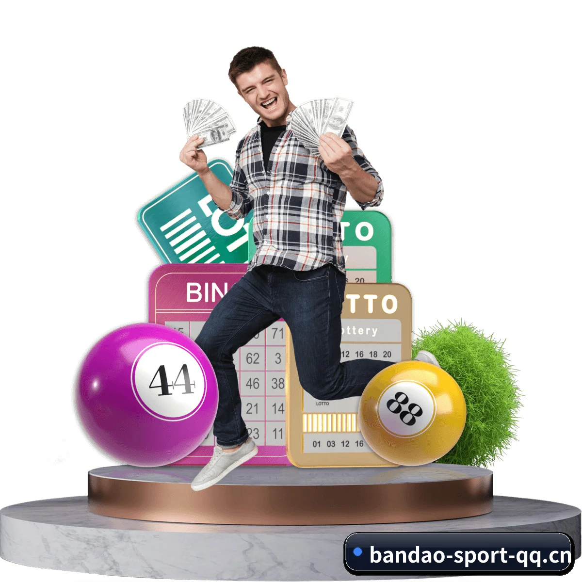 半岛体育app APP